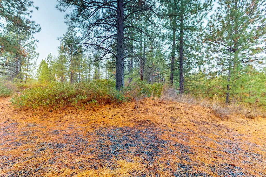 Seventh Mountain Resort Unit 1913