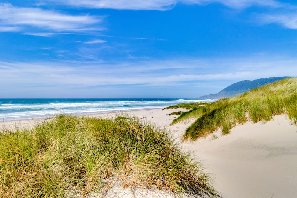 Lovely dog-friendly home with firepit - walk to the beach & downtown (MCA #329)