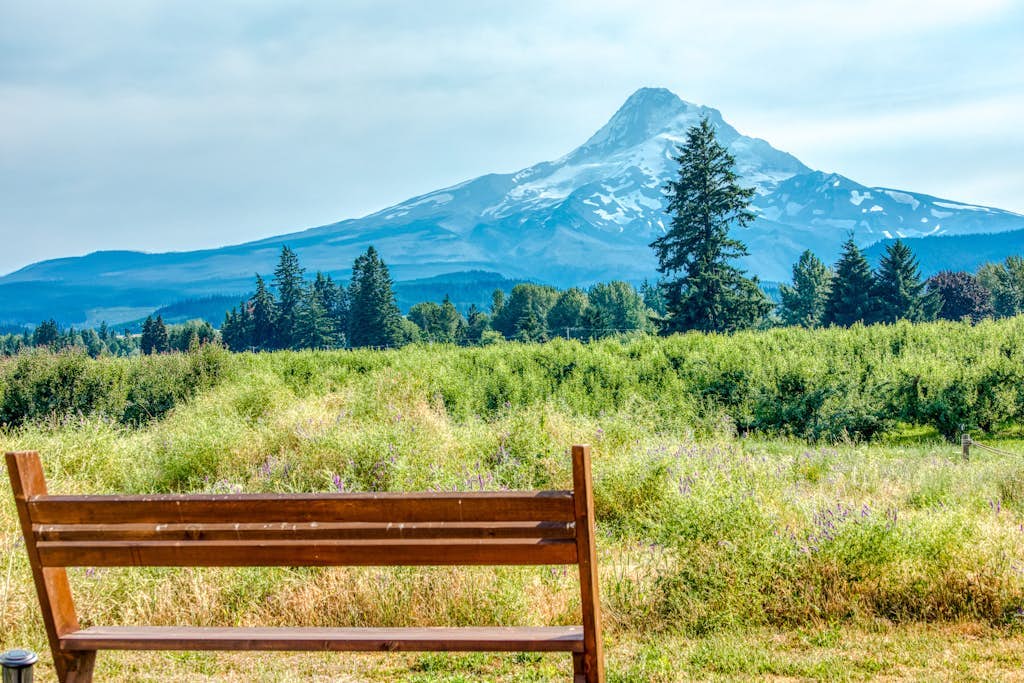 Two-story, mountain view getaway with wood stove, BBQ & fast WiFi