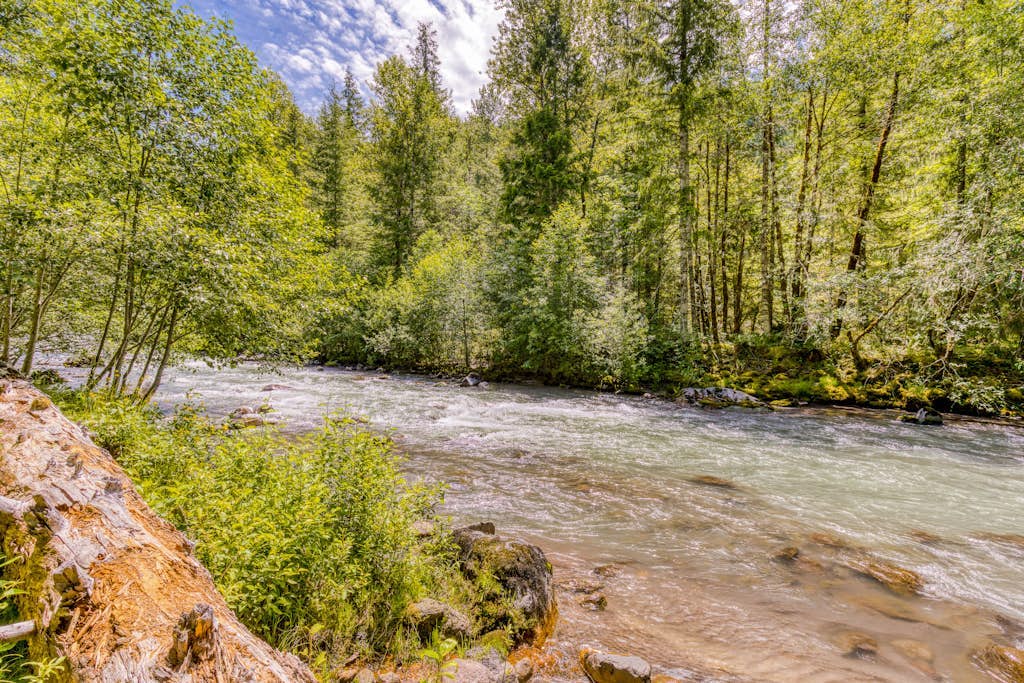 Serene Cottage on the River with Firepit, Deck, and Bunk Room