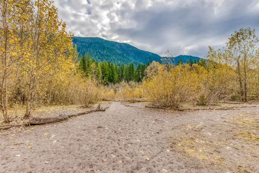 Mountain view, dog-friendly cabin with fireplace, washer&dryer, grill, & hot tub