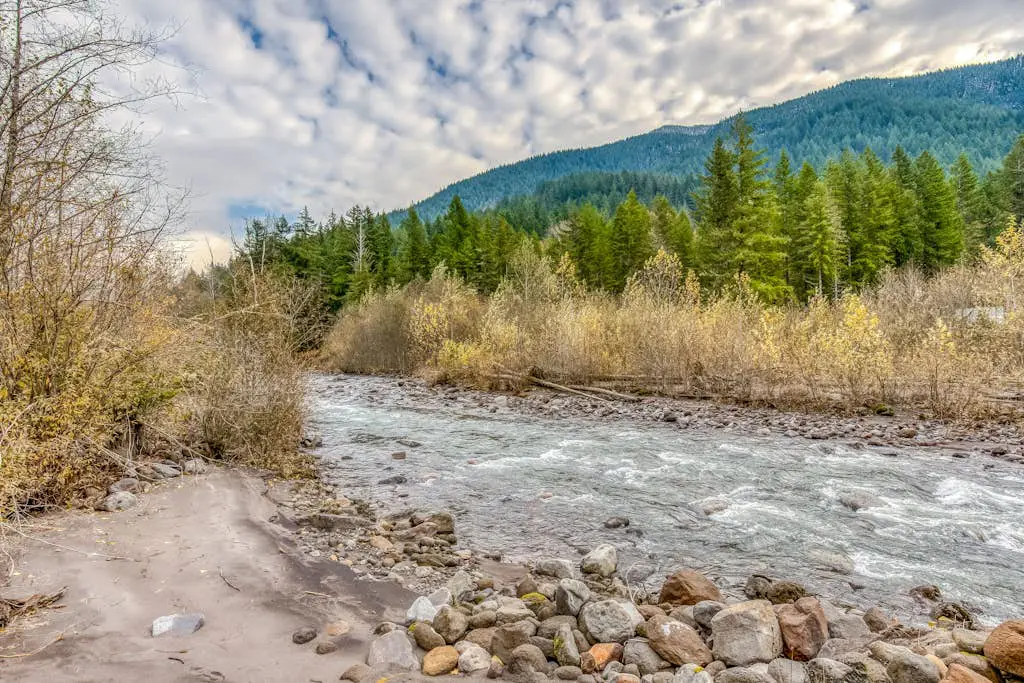 Mountain view, dog-friendly cabin with fireplace, washer&dryer, grill, & hot tub