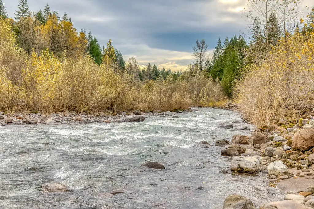 Mountain view, dog-friendly cabin with fireplace, washer&dryer, grill, & hot tub