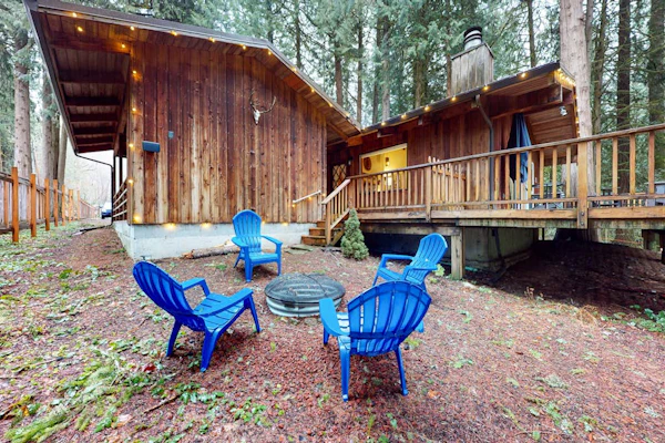 Secluded dog-friendly cabin with two fireplaces, washer/dryer, deck & firepit