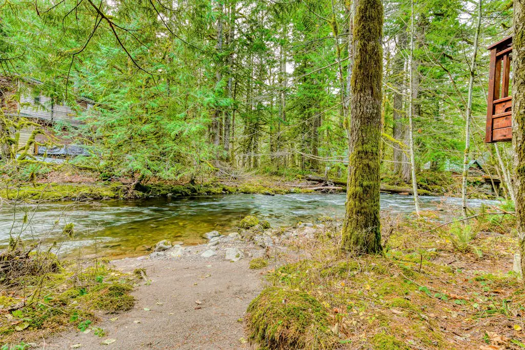 Historic Waterfront Cabin with Hot Tub & Salmon River Access - Dog-Friendly