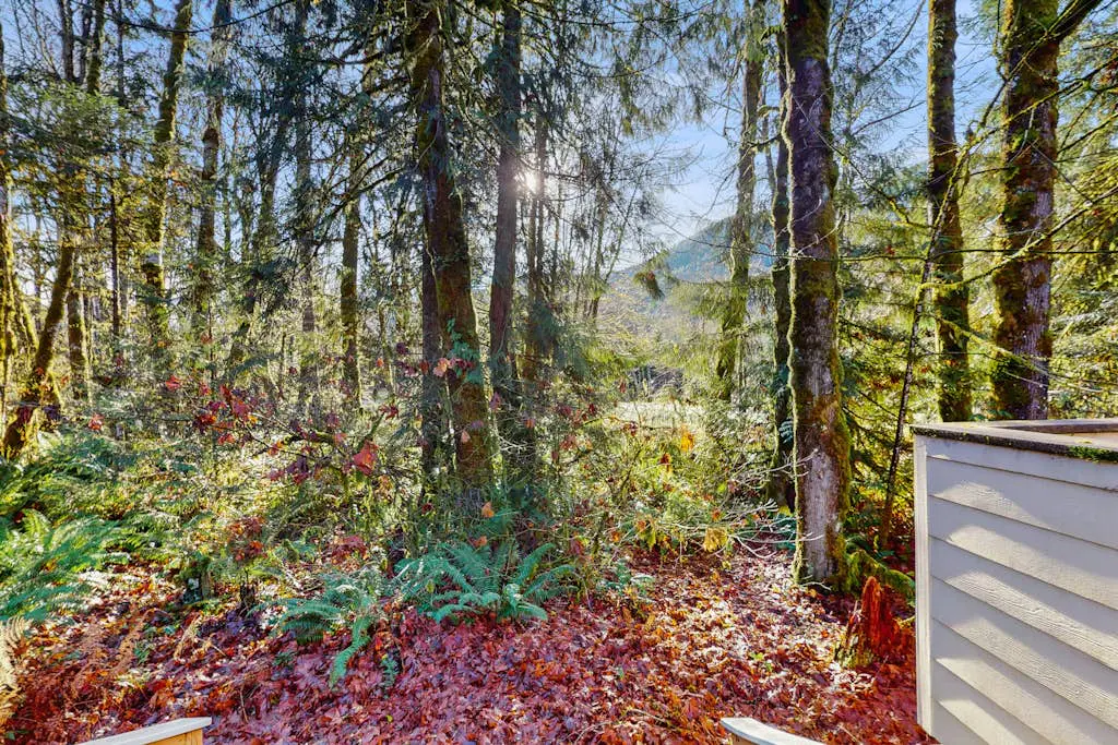 Clarks' Mountain Condo