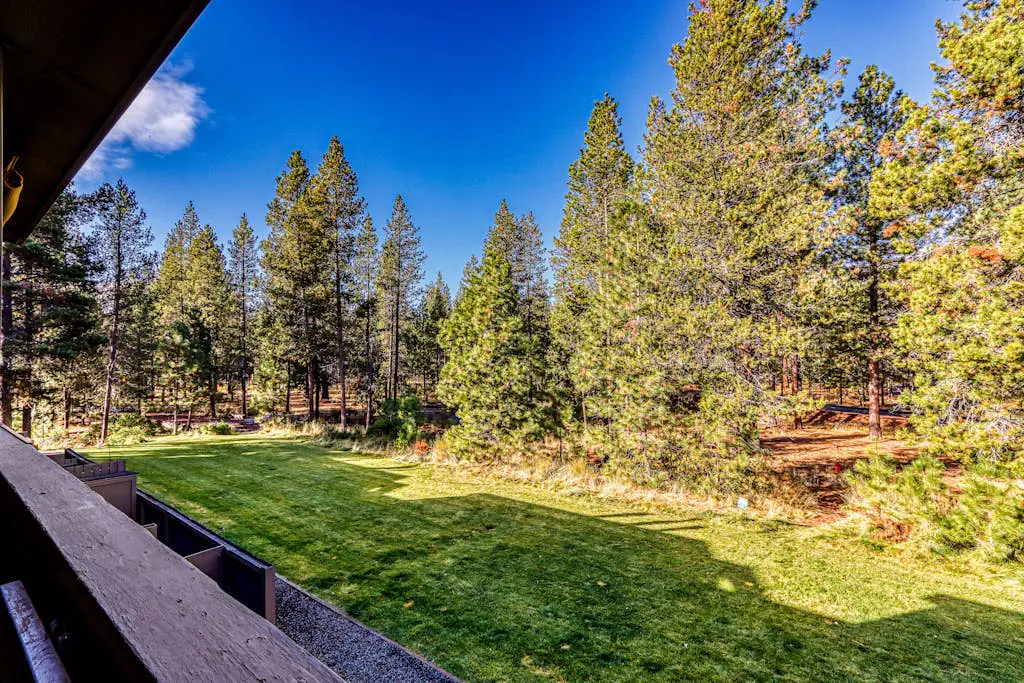Dog-Friendly Condo Steps from the Village with Balcony, WiFi & Gas Fireplace