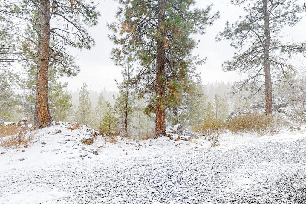 Mountain view condo with a fireplace, WiFi, partial AC, shared hot tub & pool