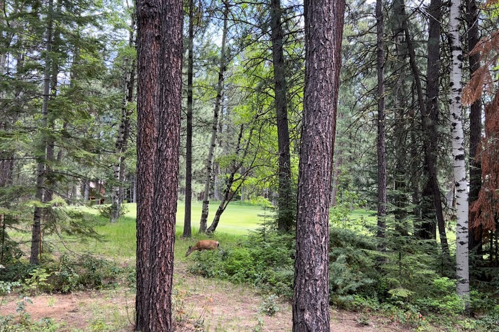 Inviting & comfortable Black Butte home with  hot tub, pool, tennis & basketball