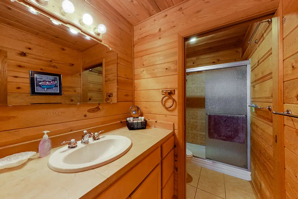 Cabin in the Pines