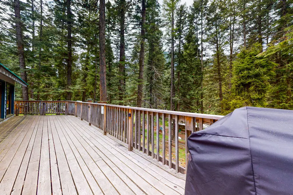 Cabin in the Pines
