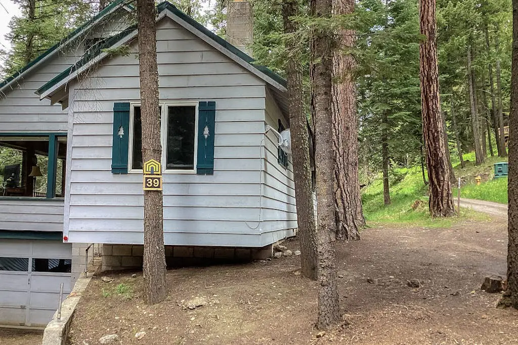 Cabin in the Pines