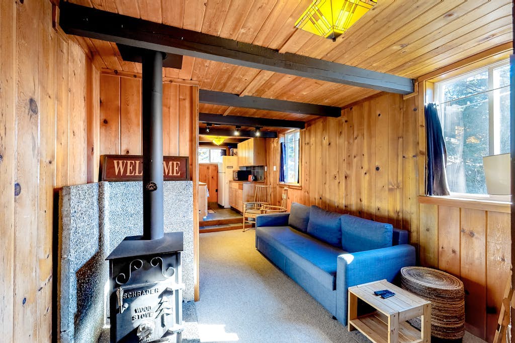 Cozy, comfortable cottage in Government Camp