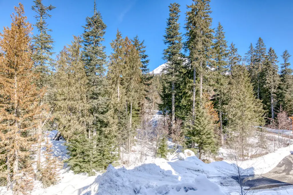 Luxury mountain home withshared pool & hot tub, patio, balcony views, & free WiFi