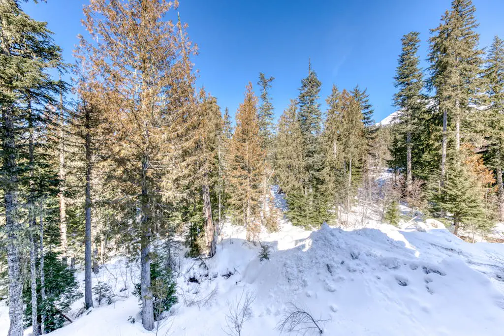 Luxury mountain home withshared pool & hot tub, patio, balcony views, & free WiFi