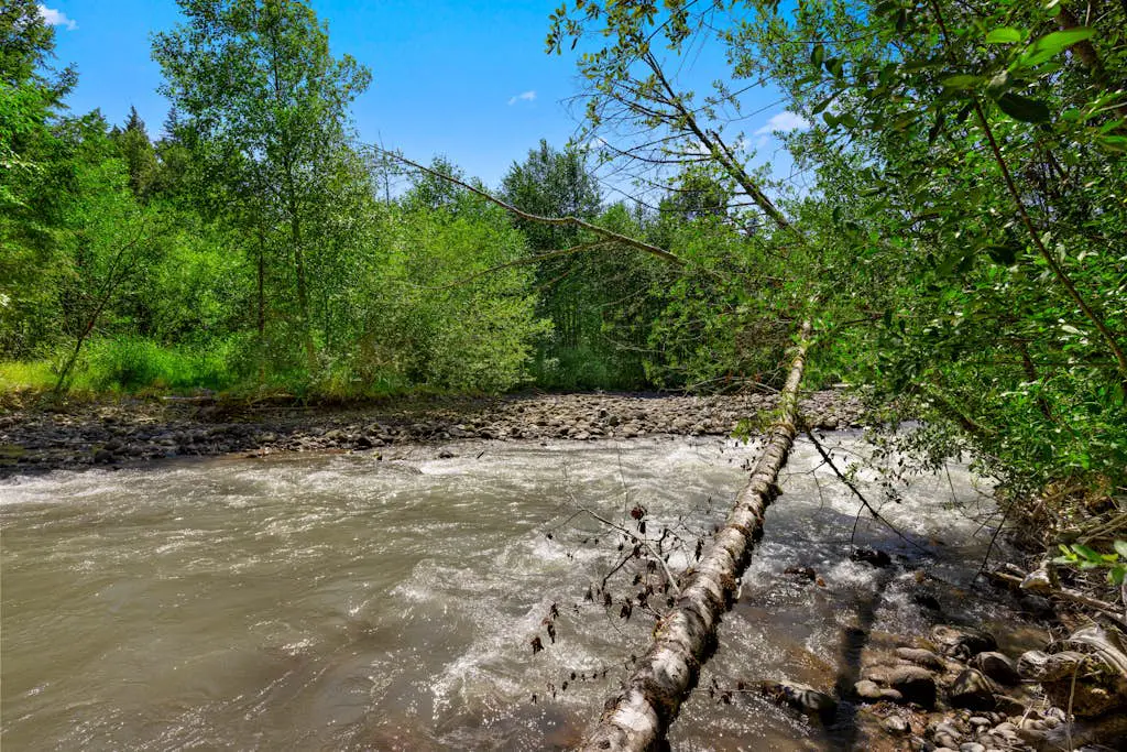 Roaring River Retreat