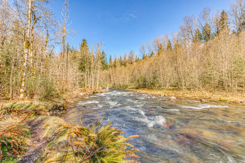 Riverside Sanctuary