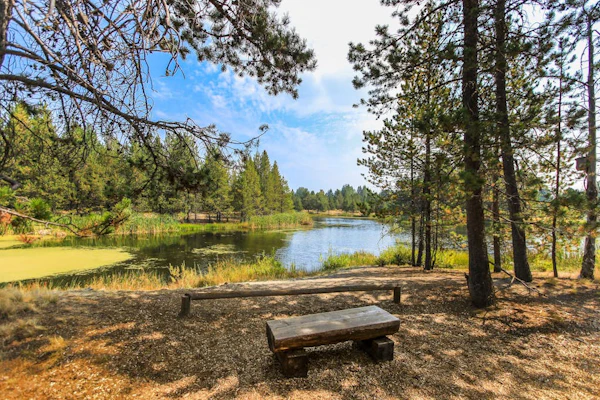 Modern home with game room, SHARC passes, deck & bikes - 2 miles to Village