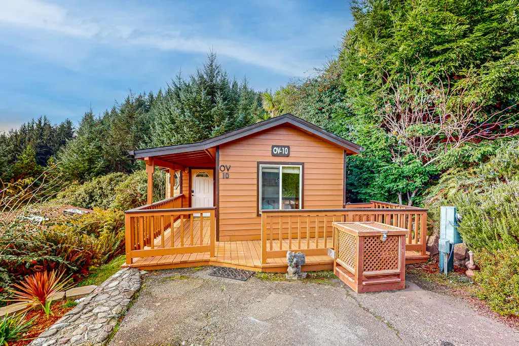 Whimsical Whaleshead -OV-10