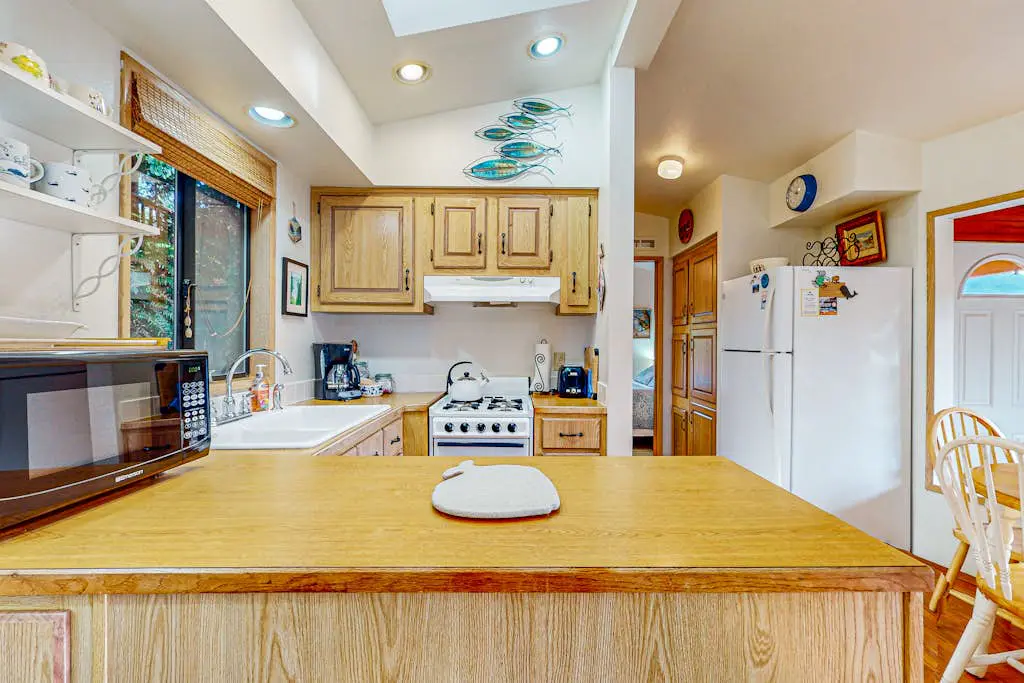 Whimsical Whaleshead -OV-10