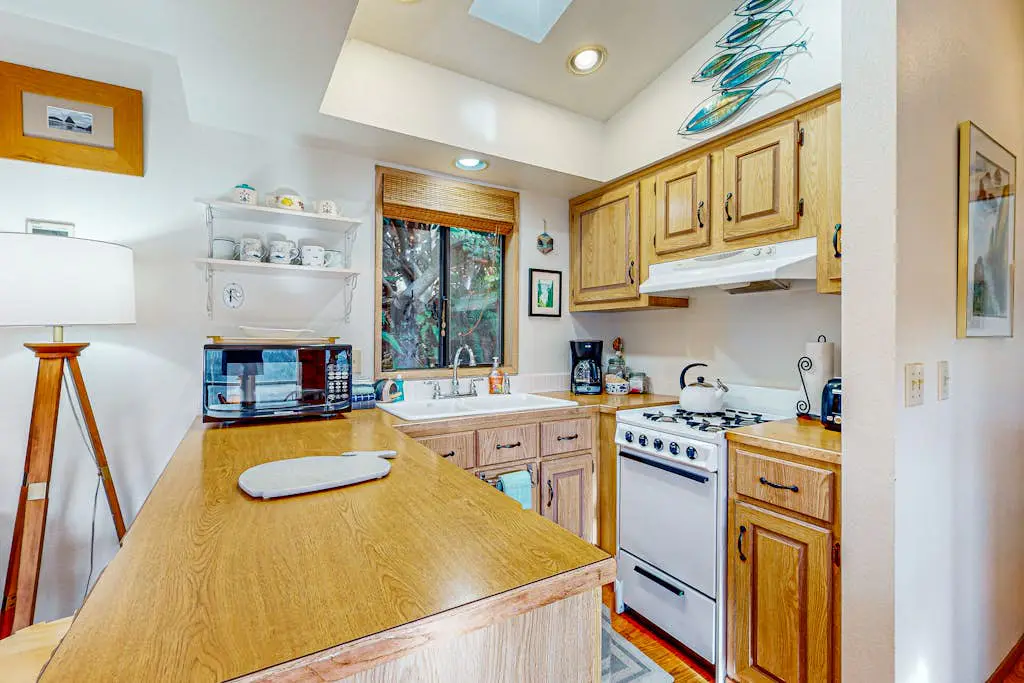 Whimsical Whaleshead -OV-10