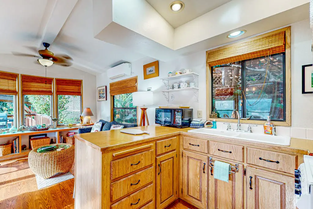 Whimsical Whaleshead -OV-10