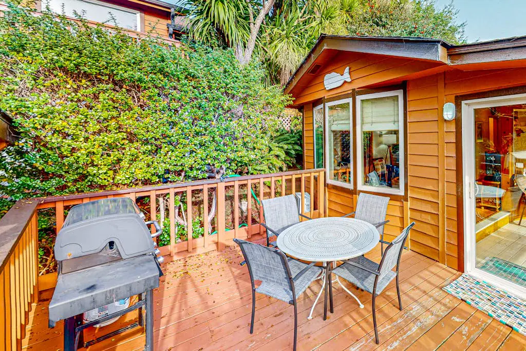 Whimsical Whaleshead -OV-10