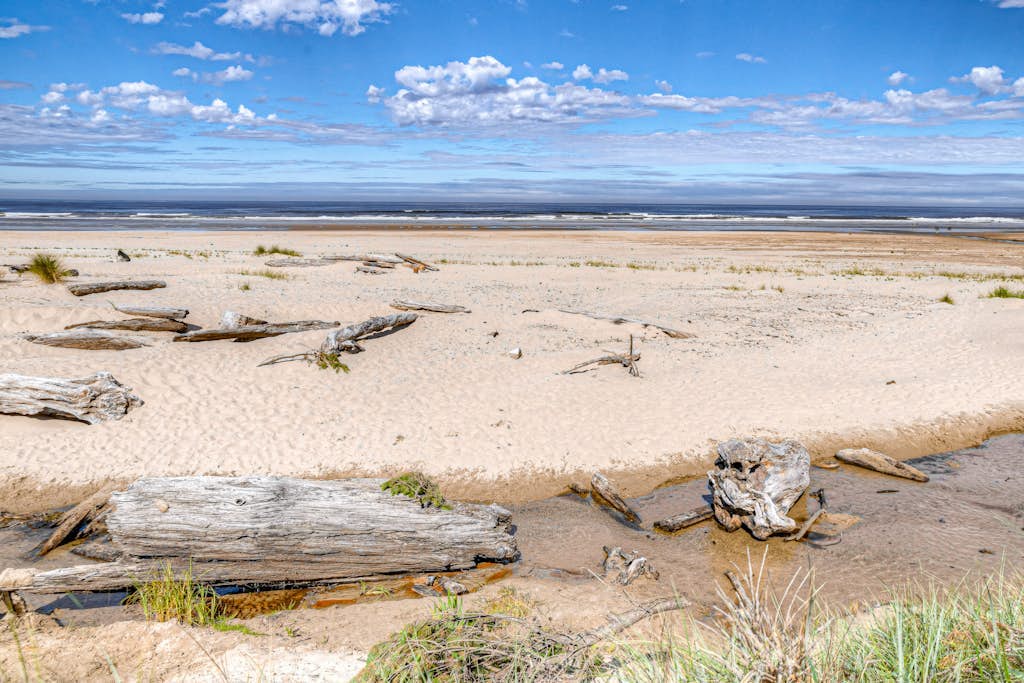 Dog-friendly home with electric fireplace, enclosed yard, deck, beach access