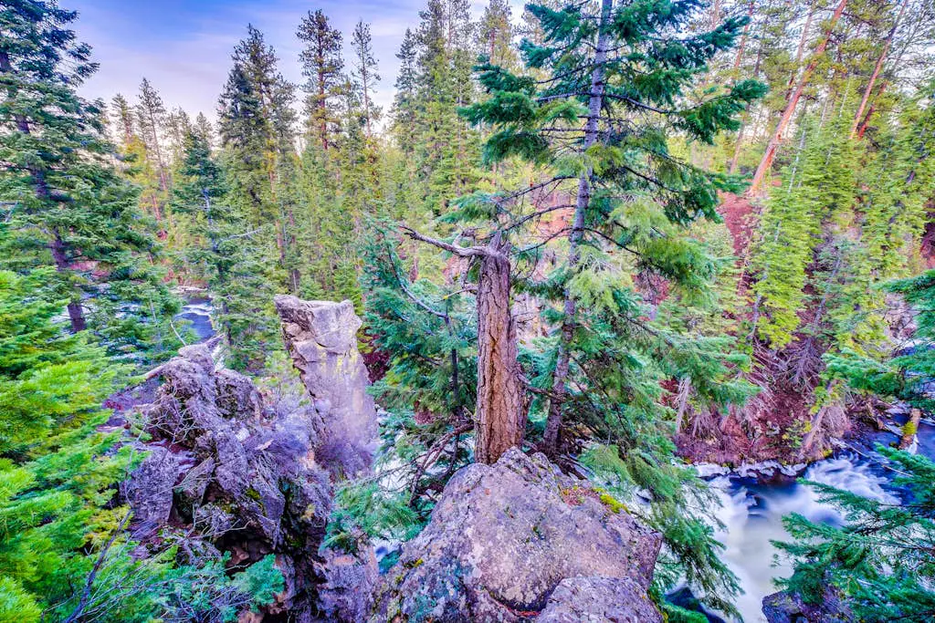 Serenity at Seventh Mountain