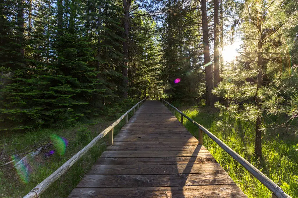 Mountain View Ranch Retreat - Golf and Serenity