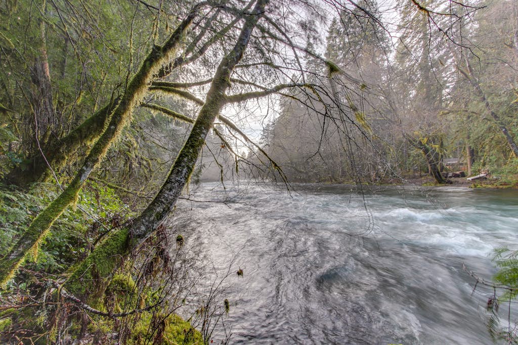 Restored log cabin w/ classic porch - near river, trails, hot springs, & more
