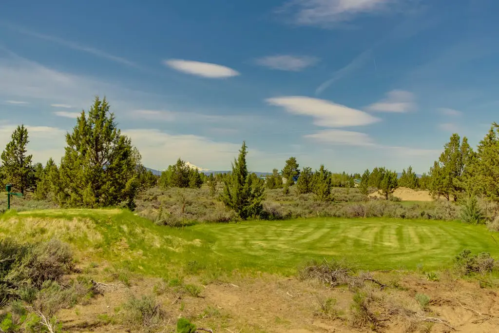 Apache Greens