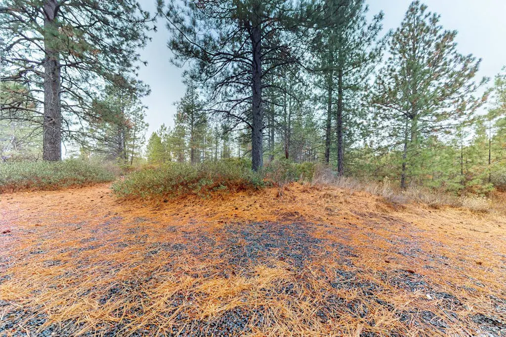 Seventh Mountain Resort Unit 1914