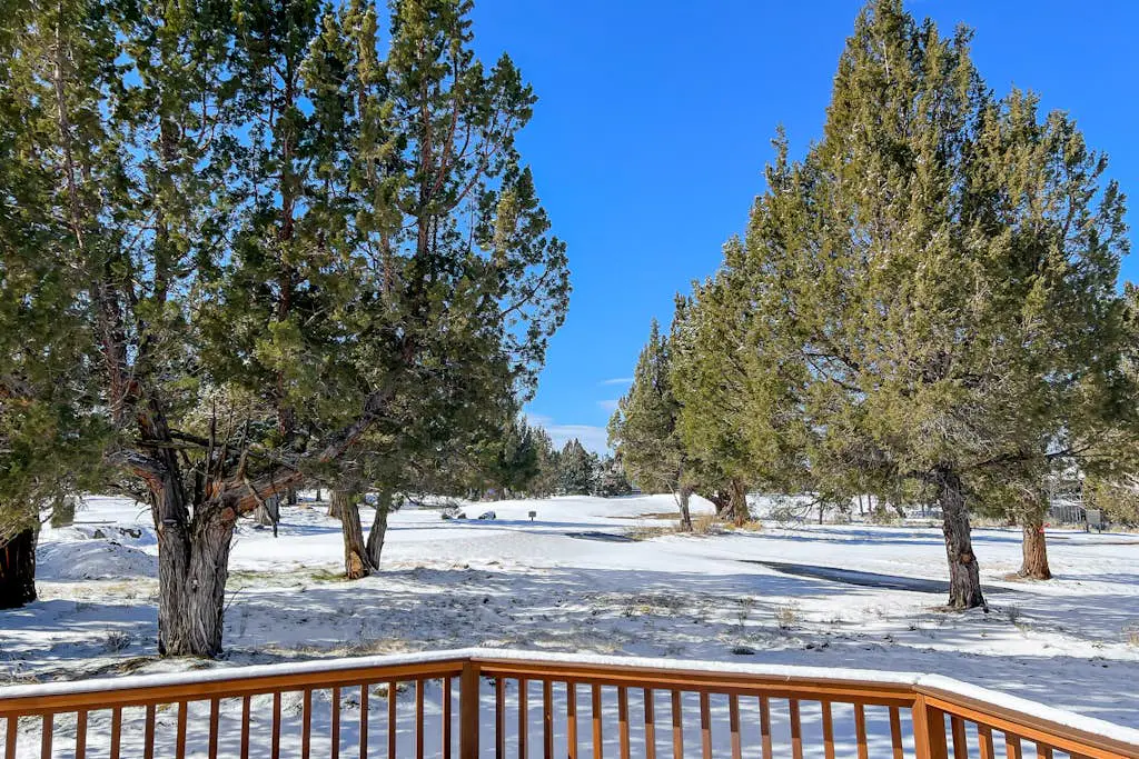 Trees and Tees at Eagle Crest