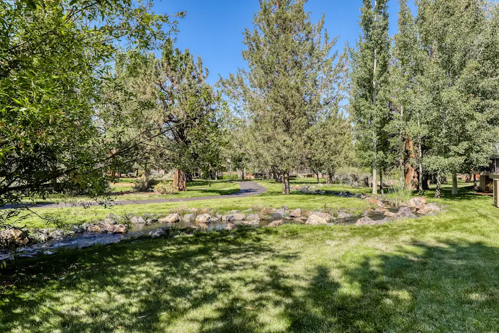 Trees and Tees at Eagle Crest