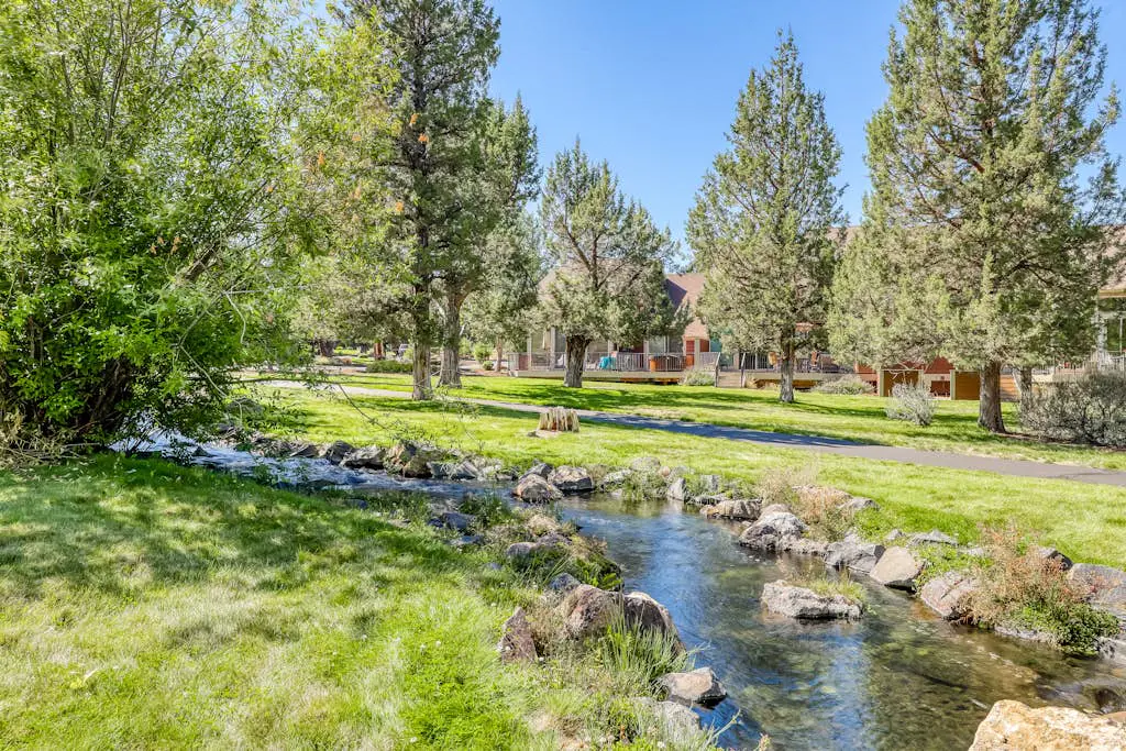 Trees and Tees at Eagle Crest