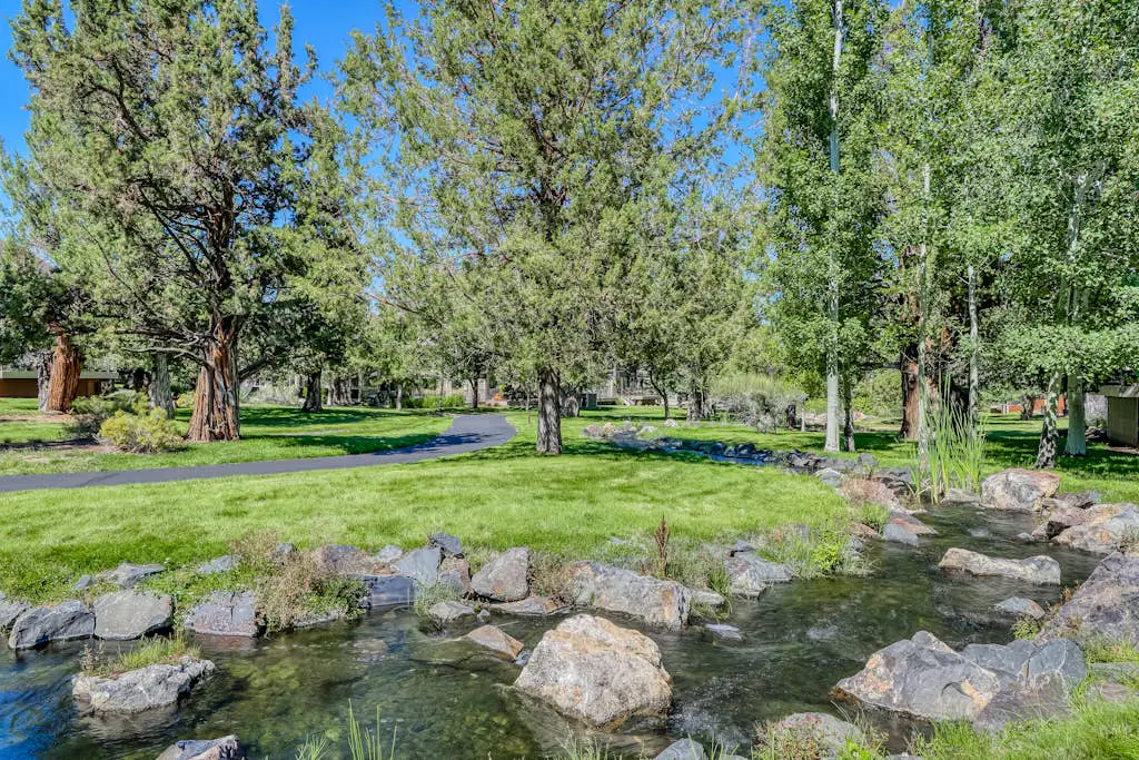 Trees and Tees at Eagle Crest