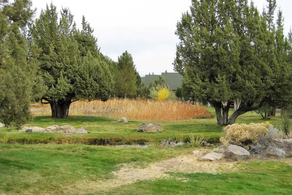 Dog-friendly home on the pond/creek with access to resort pools/golf/gym