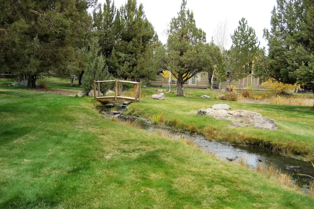 Dog-friendly home on the pond/creek with access to resort pools/golf/gym