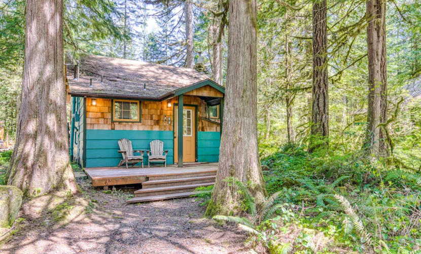 Modern, cozy, dog-friendly mountain retreat in central location