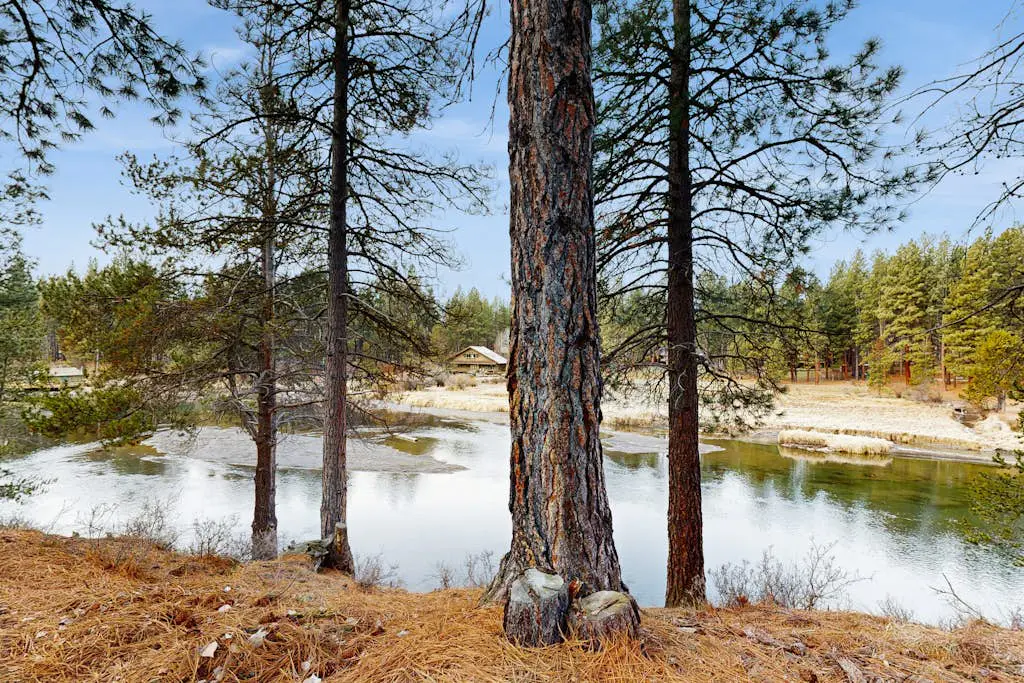 Rivers Edge