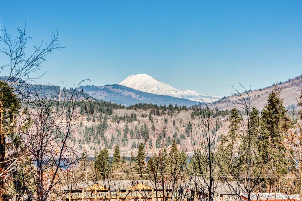 Modern dog-friendly home w/ stunning Mt. Adams view - walk downtown