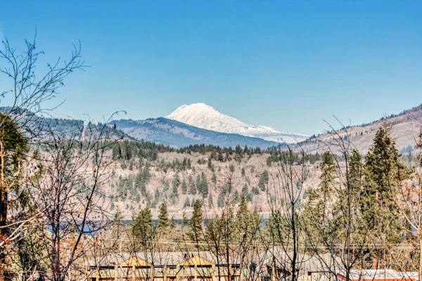 Modern dog-friendly home w/ stunning Mt. Adams view - walk downtown