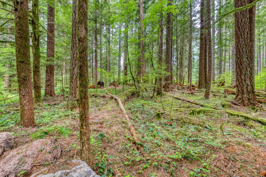 Mt Hood lodge in Forest Setting with Firepit & NEW Private Hot Tub