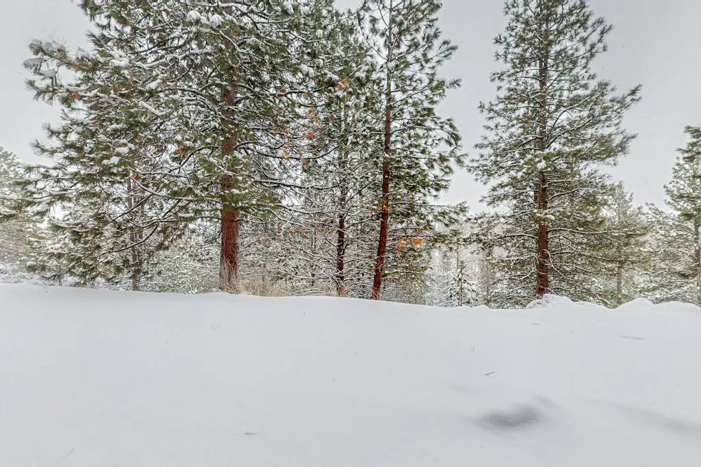 Tranquil Pines at Seventh Mountain