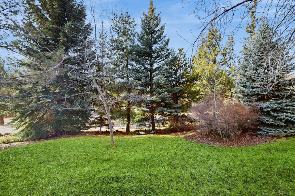 Cozy home near town, river & hiking with WiFi, large backyard & firepit