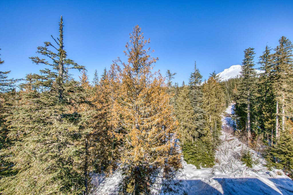 Penthouse condo w/mountain views & shared pool/hot tub - close to ski access