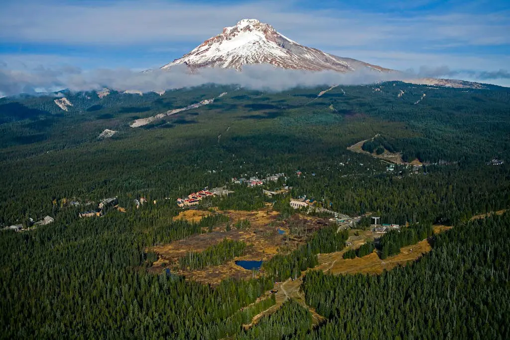 #401 Grand Lodge South Penthouse