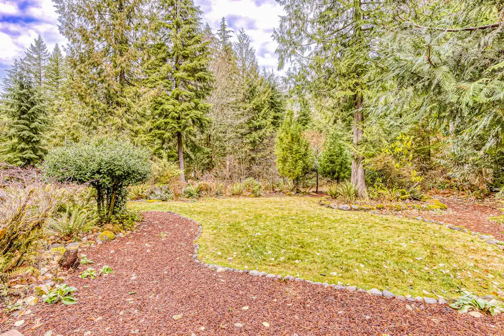 Remodeled home with large yard & kitchen in lovely forest setting - dog-friendly