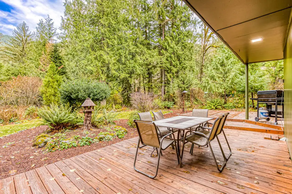 Remodeled home with large yard & kitchen in lovely forest setting - dog-friendly